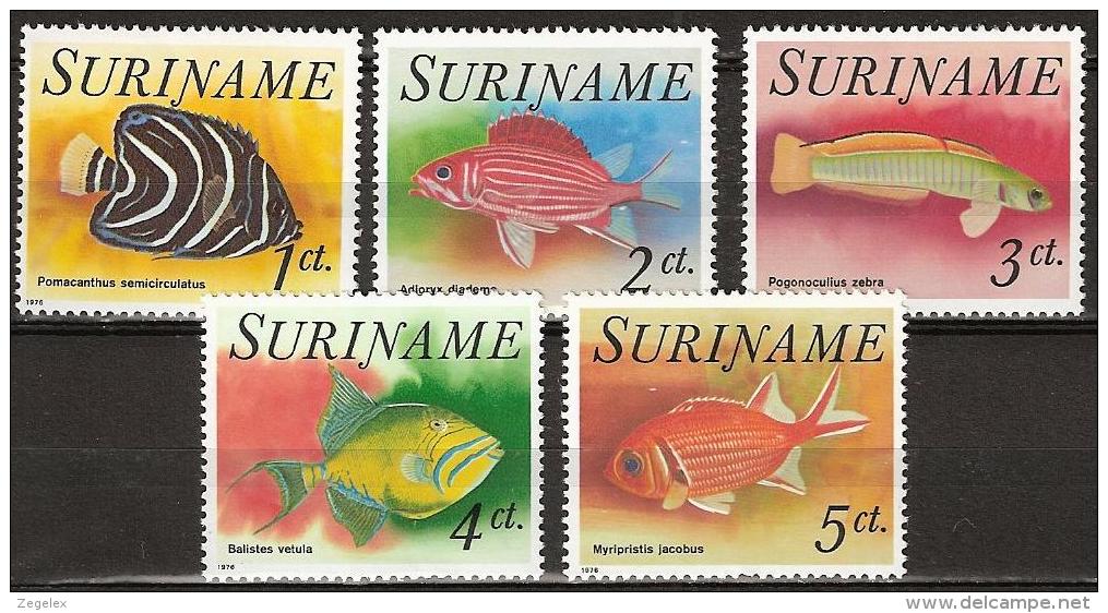 Suriname 1976 Vissen, Fishes  MNH/**/Postfris - Suriname