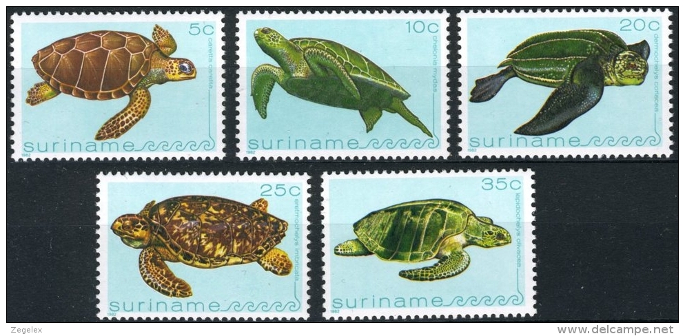 Suriname 1982 Zeefauna, Turtles, Schildpadden,  MNH/**/Postfris - Suriname