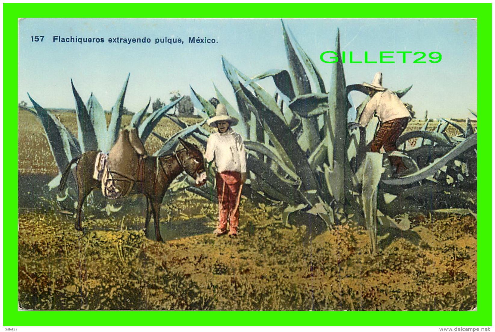 MEXICO - FLACHIQUEROS EXTRAYENDO PUIQUE - ANIMATED -  EDITOR E. MARTIN - - Mexique