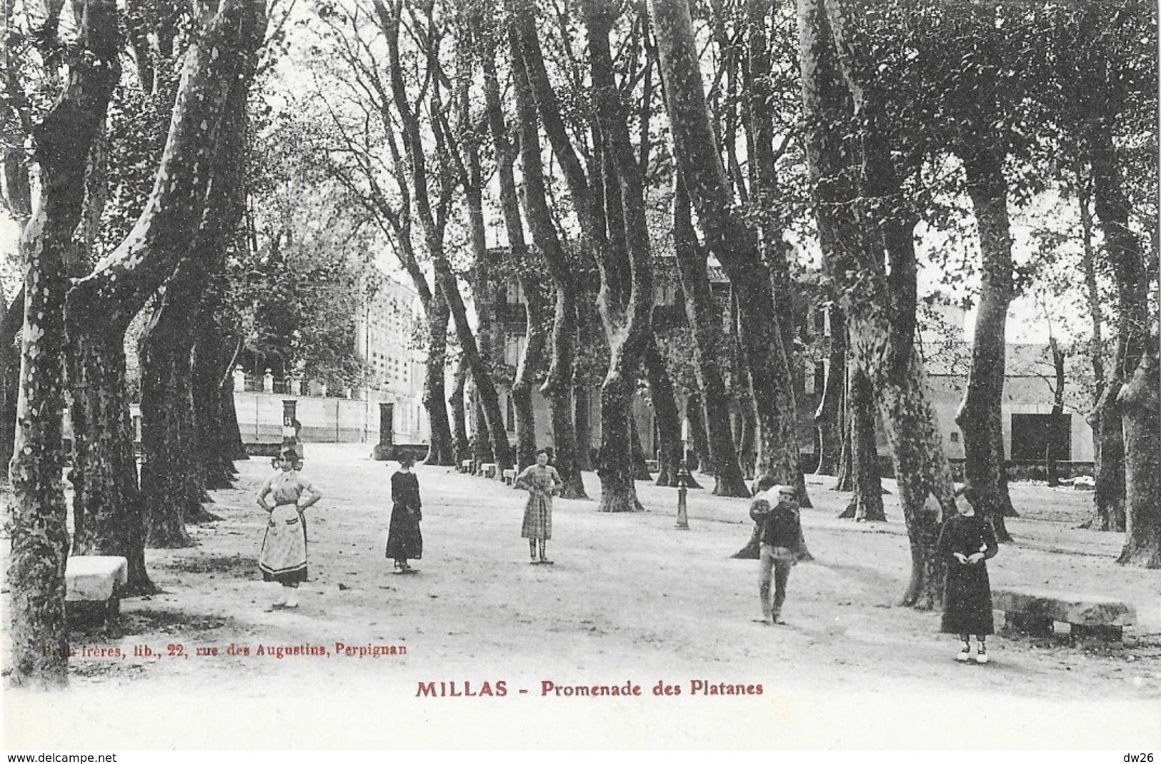 Millas (Pyrénées Orientales) - Promenade Des Platanes - Edition Brun, Carte Animée, Non Circulée - Millas