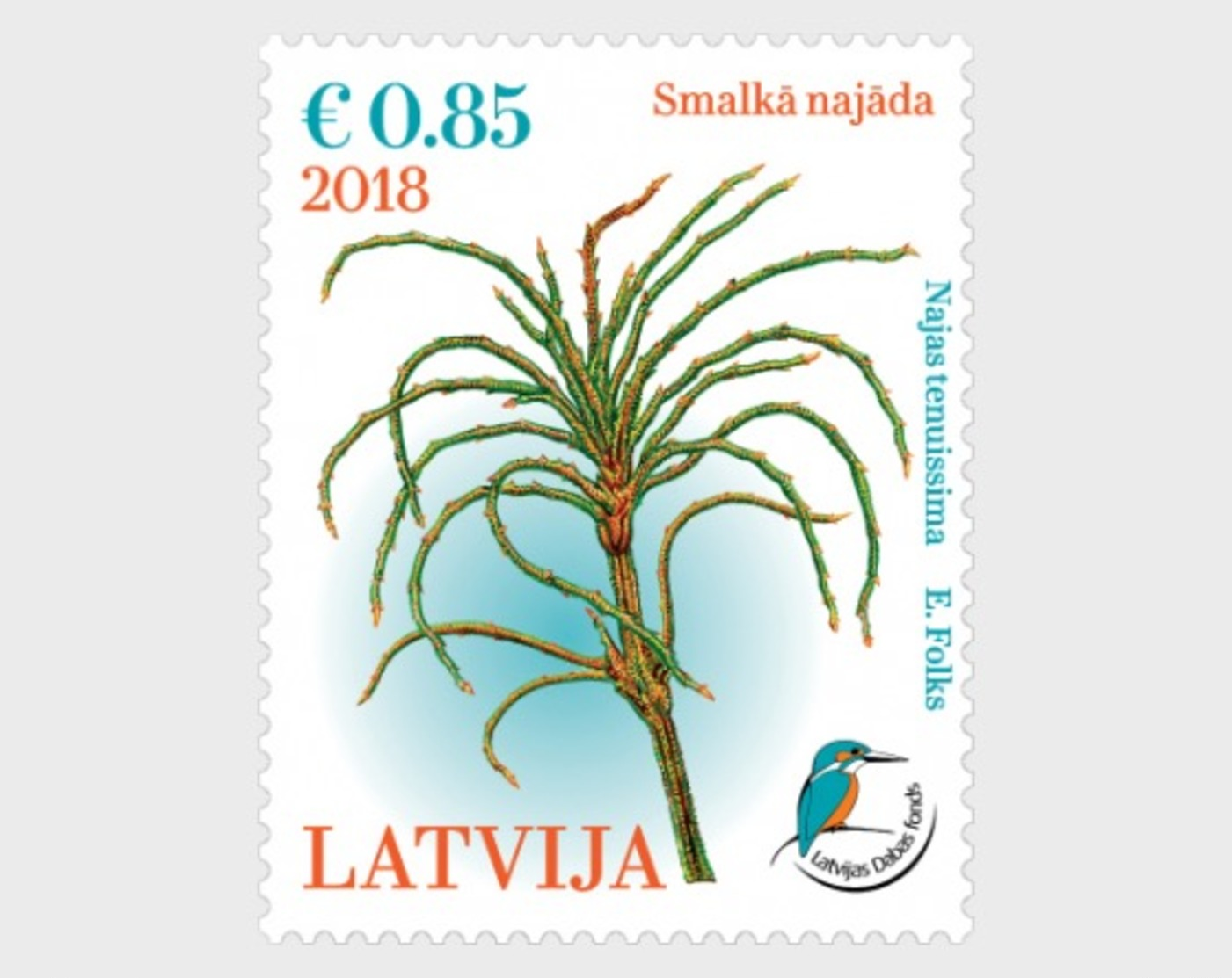 H01 Latvia 2018 Delicate Naiad Dating From The Ice Age MNH Postfrisch - Lettland