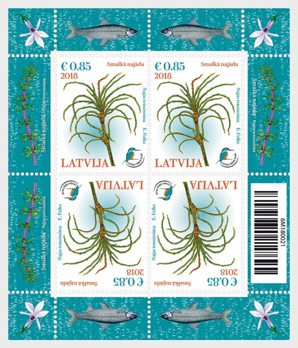 H01 Latvia 2018 Delicate Naiad Dating From The Ice Age Full Sheet - Lettland