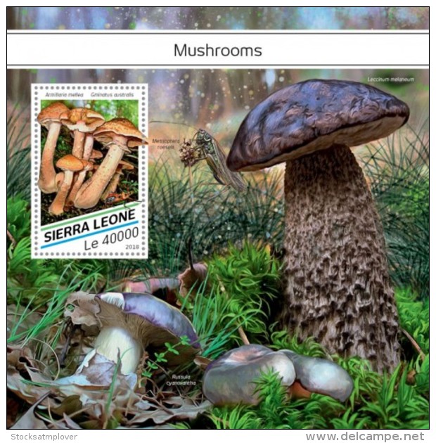 SIERRA LEONE 2018   Mushrooms S201807 - Sierra Leone (1961-...)