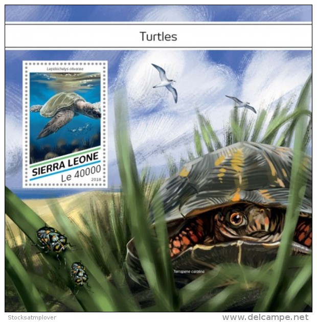 SIERRA LEONE 2018  Turtles S201807 - Sierra Leone (1961-...)