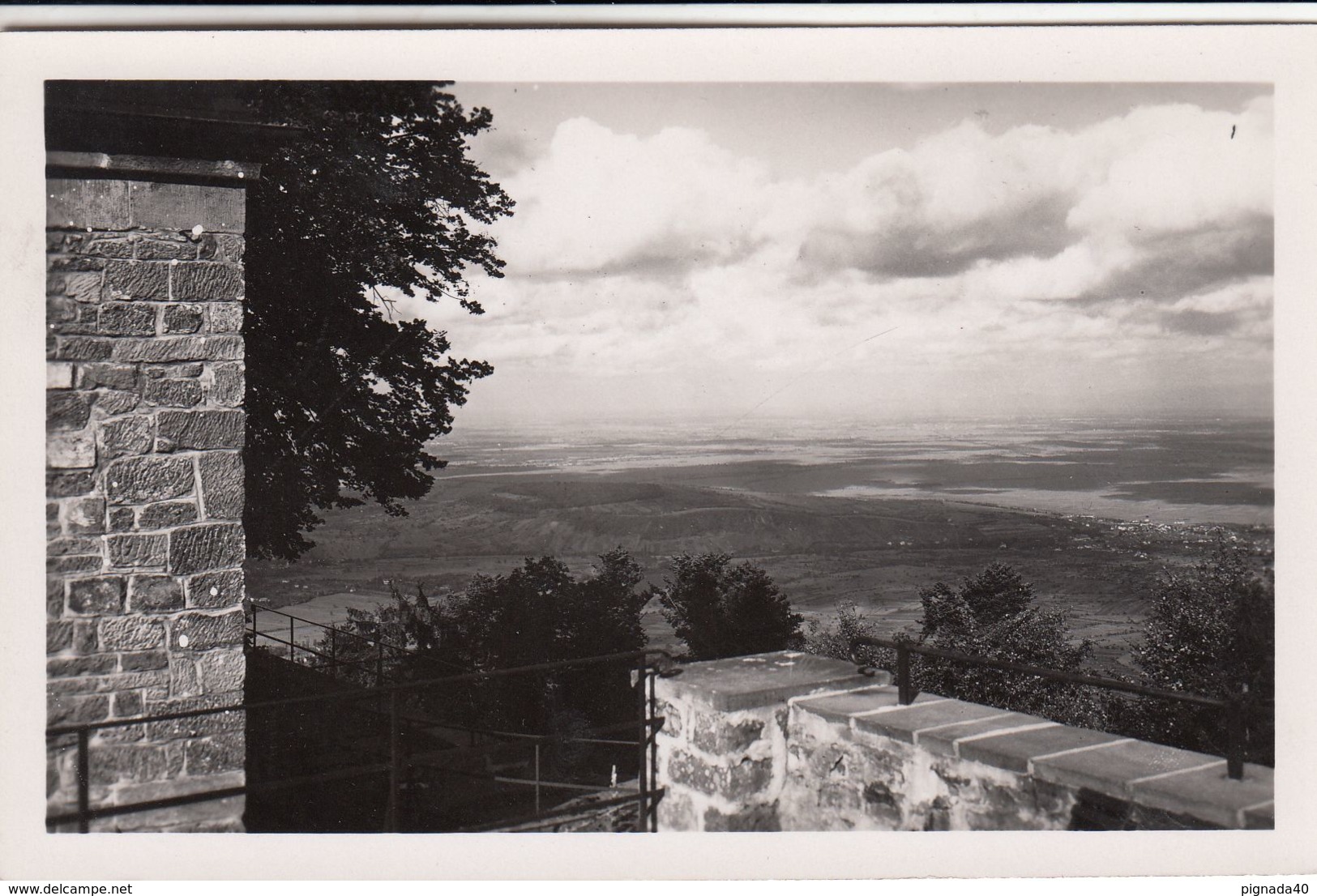 Cp , 67 , MONT-SAINT-ODILE (763 M.), La Vallée Prise Du Couvent - Sainte Odile