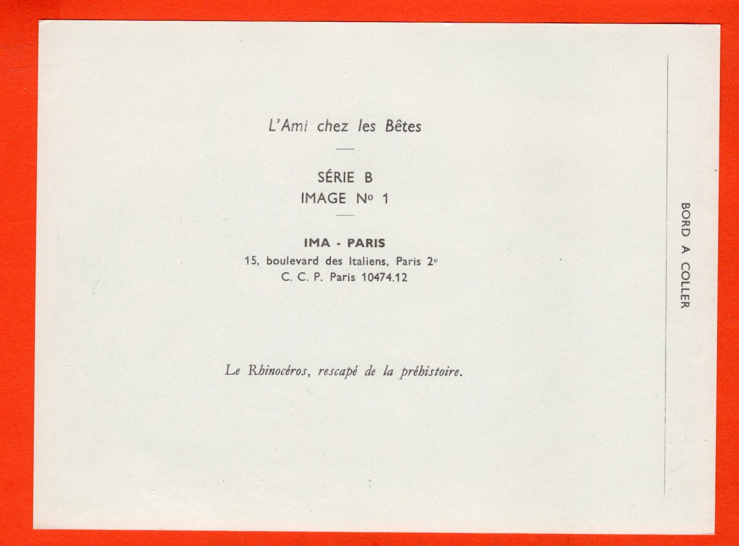 GRANDE IMAGE POUR ALBUM (12 X 16 Cm)  - L'AMI CHEZ LES BÊTES - IMA - LE RHINOCÉROS - Other & Unclassified