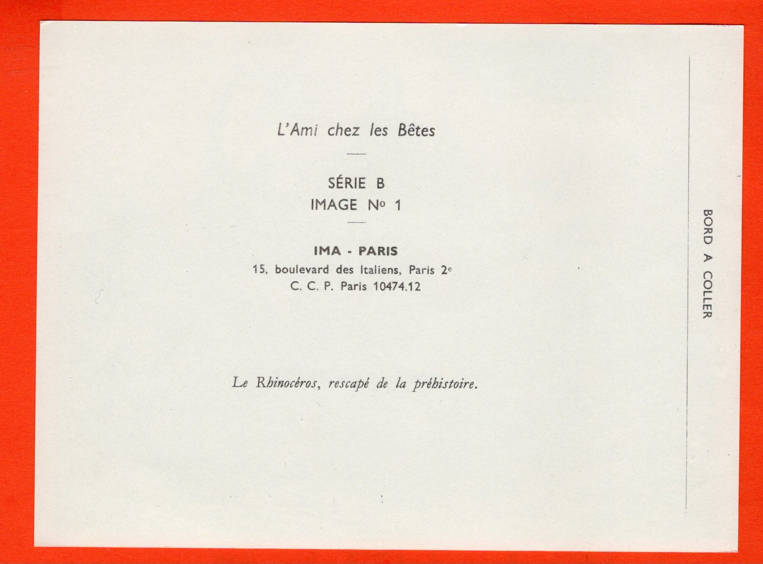 GRANDE IMAGE POUR ALBUM (12 X 16 Cm)  - L'AMI CHEZ LES BÊTES - IMA - LE RHINOCÉROS - Autres & Non Classés