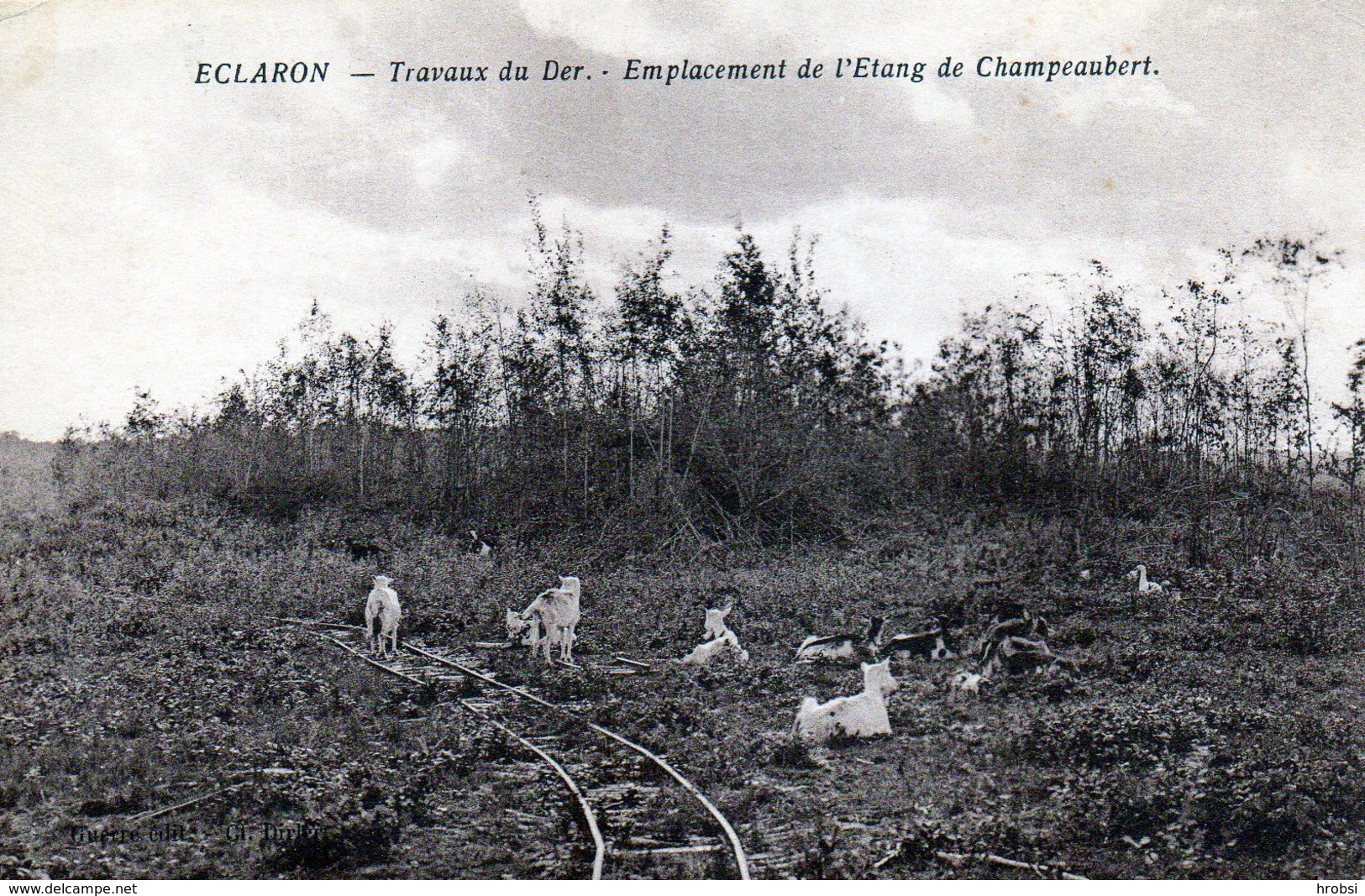 Eclaron, Travaux Du Der, Etang De Champeaubert, Voie Férrée - Eclaron Braucourt Sainte Liviere