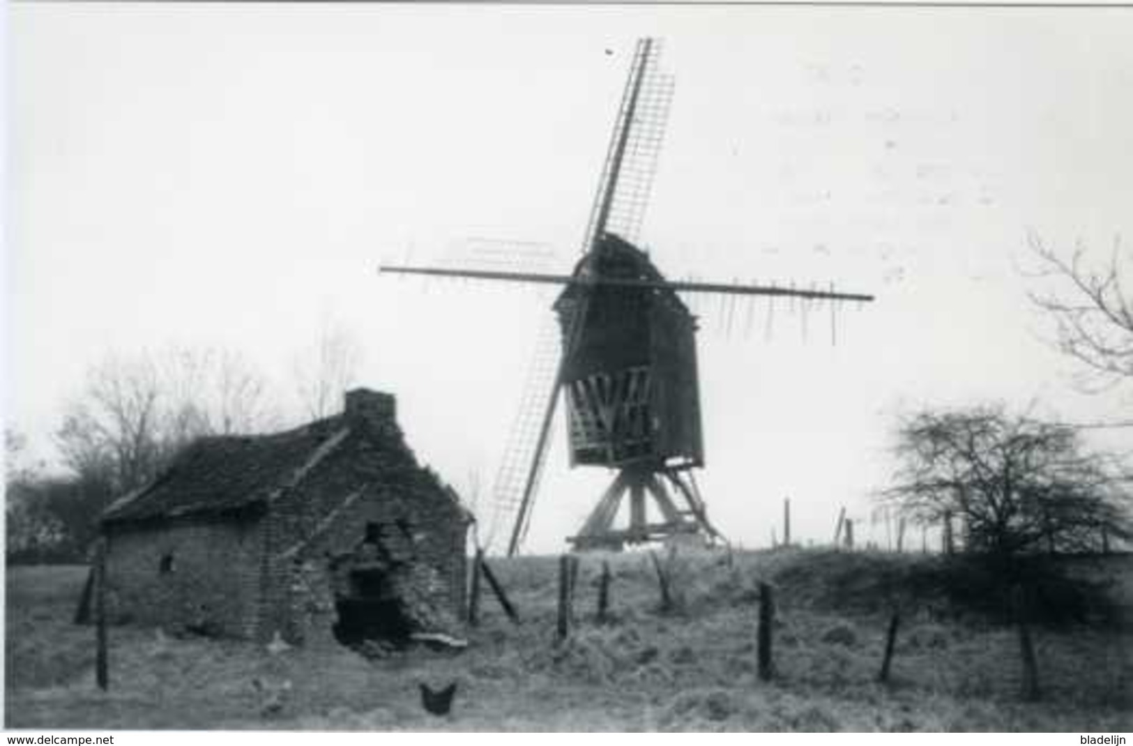 IMPE Bij Lede (O.Vl.) - Molen/moulin - Historische Opname Van De Gewezen Tukmolen Met Bakhuisje In 1978. TOP !! - Lede