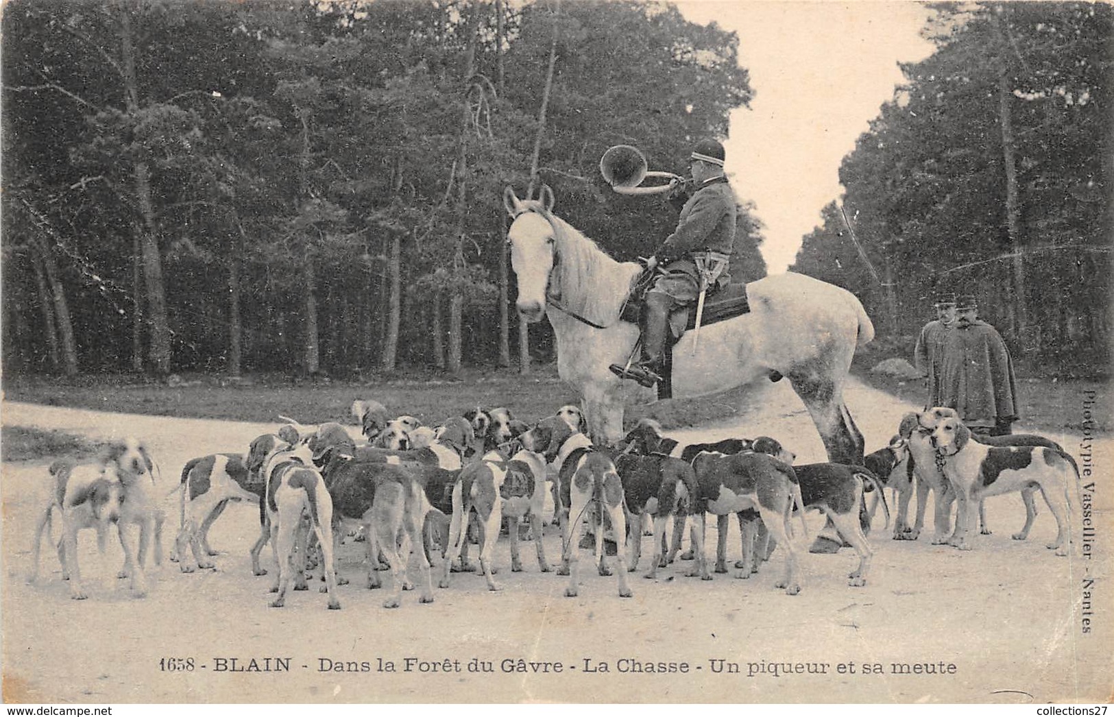 44-BLAIN- DANS LA FORÊT DU GÂVRE- LA CHASSE, UN PIQUEUR ET SA MEUTE - Blain