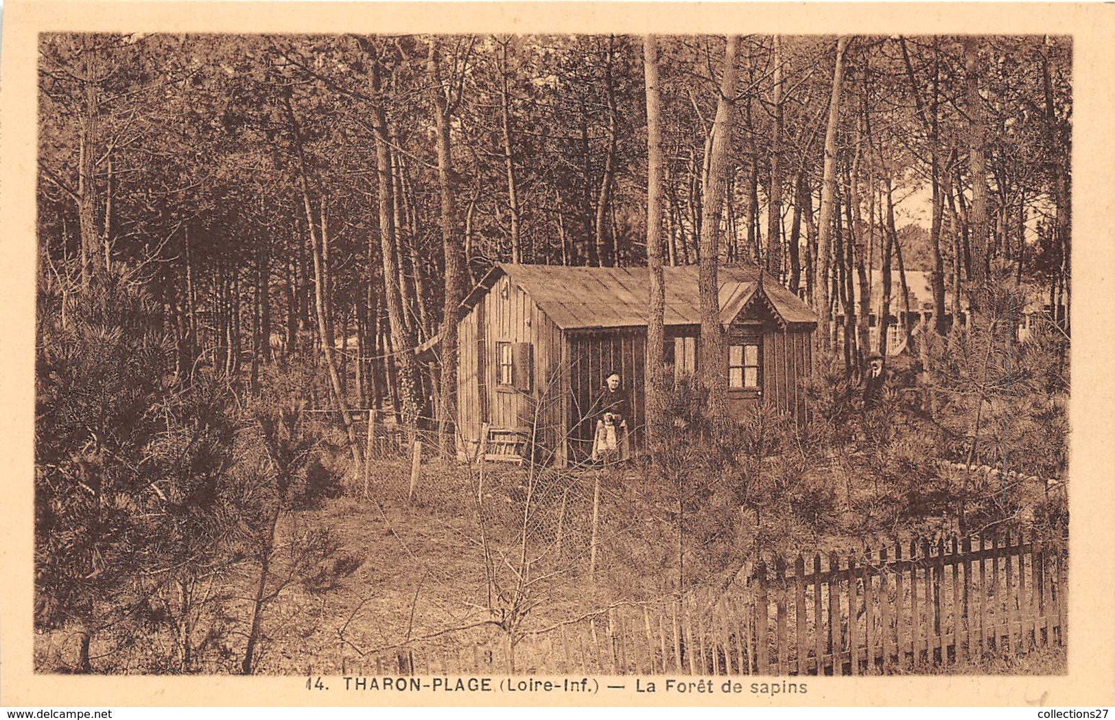 44-THARON-PLAGE- LA FORÊT DE SAPINS - Tharon-Plage