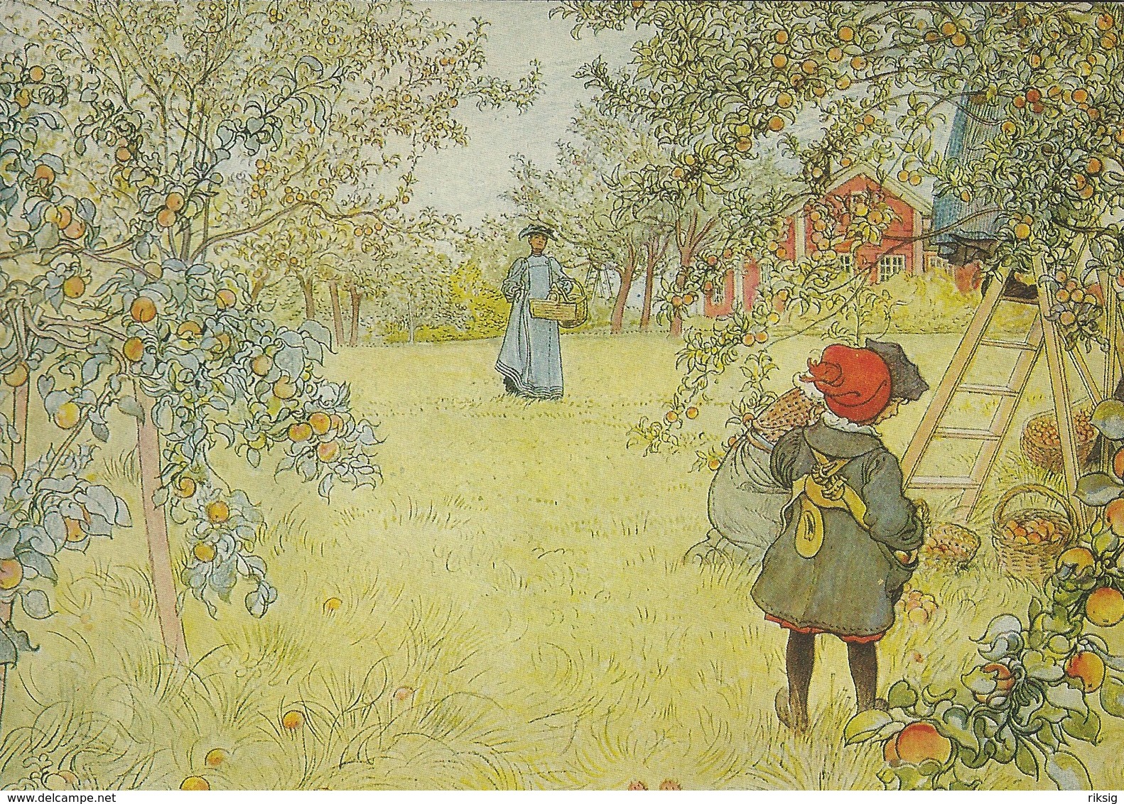 Painting: Carl Larsson : The Apple Harvest.    # 07916 - Paintings