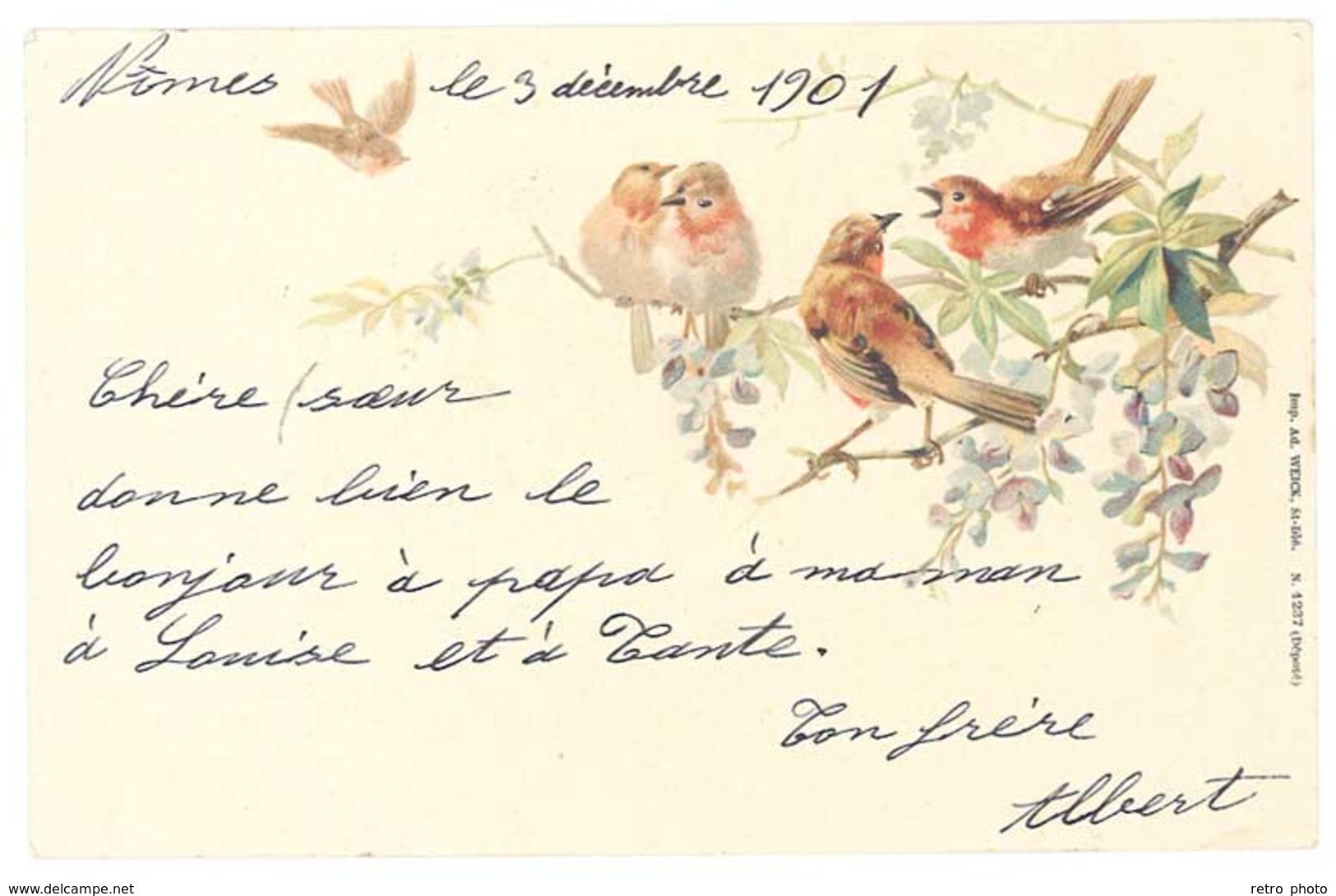 Cpa Fantaisie Oiseaux Sur Branche , Rouge Gorge  ( AN ) - Vogels