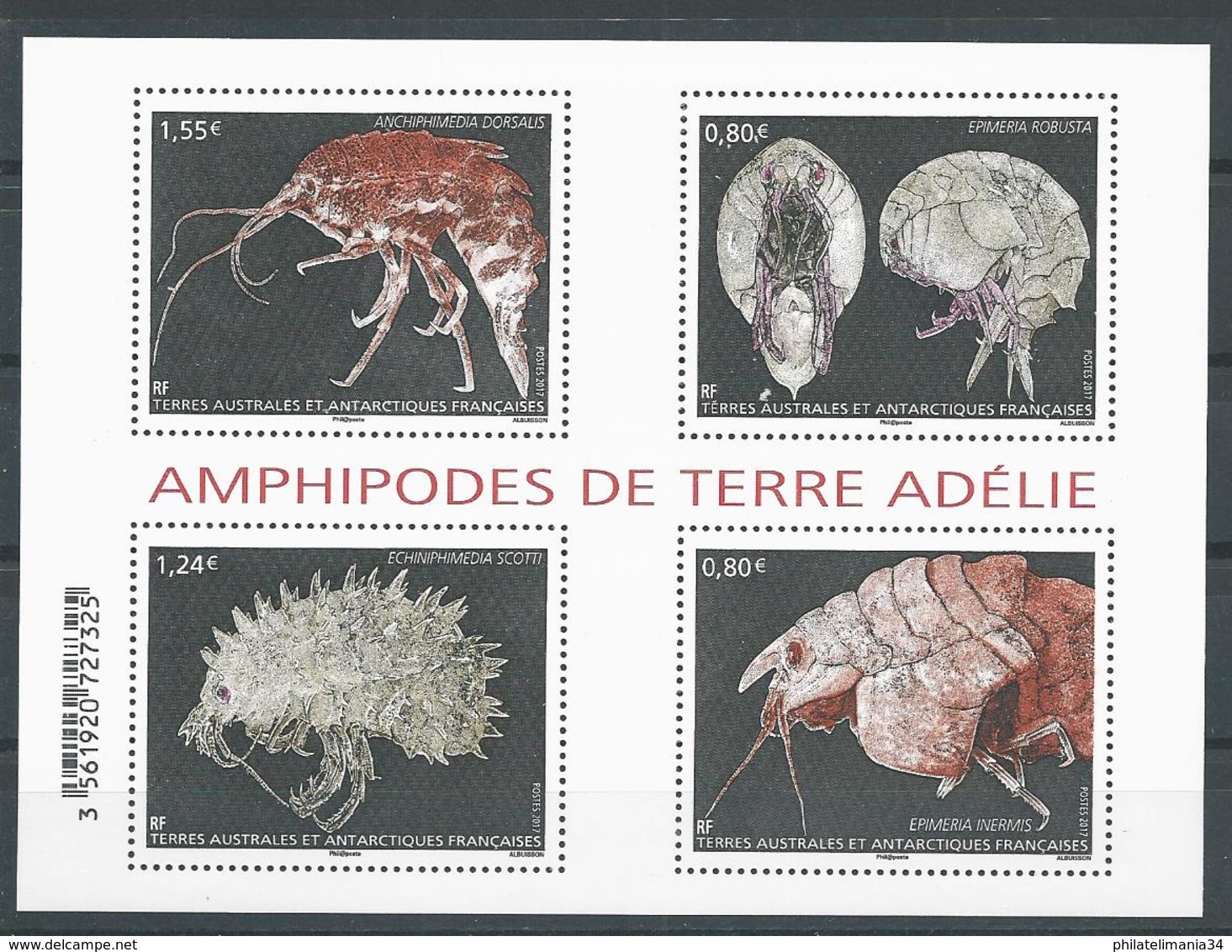 TAAF 2017 - Amphipodes De Terre Adélie - Blokken & Velletjes