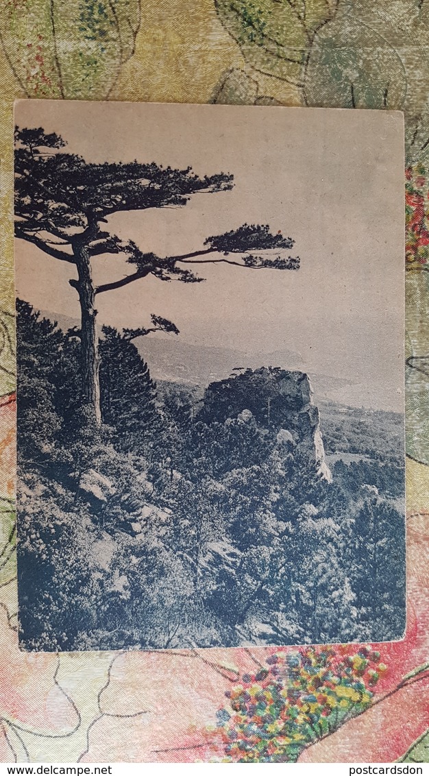 Russia. Crimea. Alupka. Mountain Landscape - Old Vintage Pc - 1920s - Russie