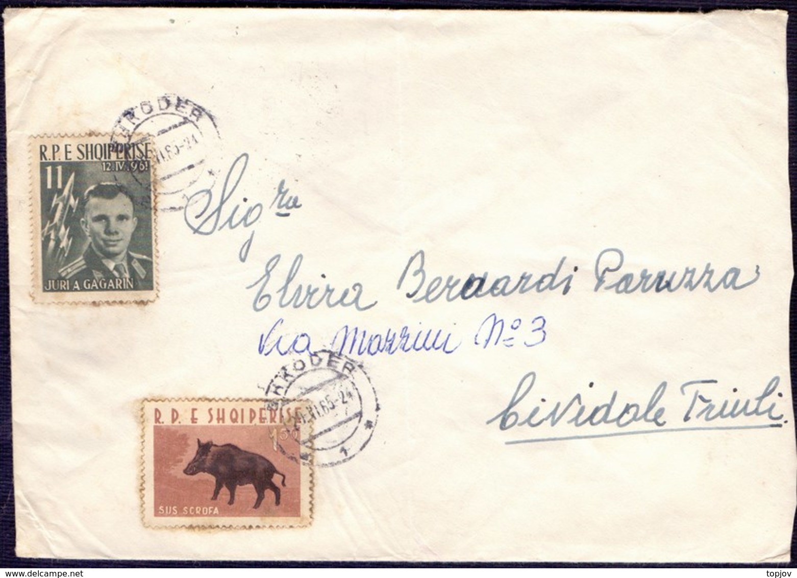 ALBANIA - GAGARIN - SUS SCROFA  -1965 - Albania