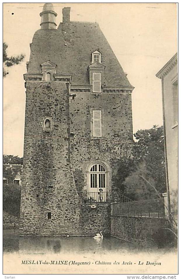 53 , MESLAY DU MAINE , Chateau Des Arcis , * 230 13 - Meslay Du Maine