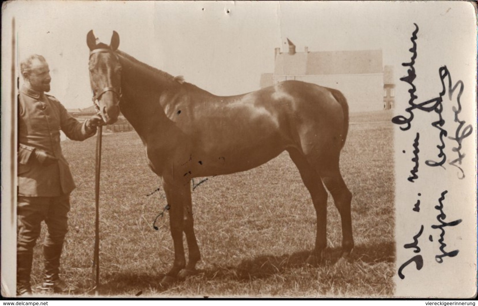 ! Alte Fotokarte 1915, Alfred Henkel Divisionsarzt 39. Division, Pferd, Horse, Gel. N. Rengshausen, Photo, 1. Weltkrieg - Guerra 1914-18