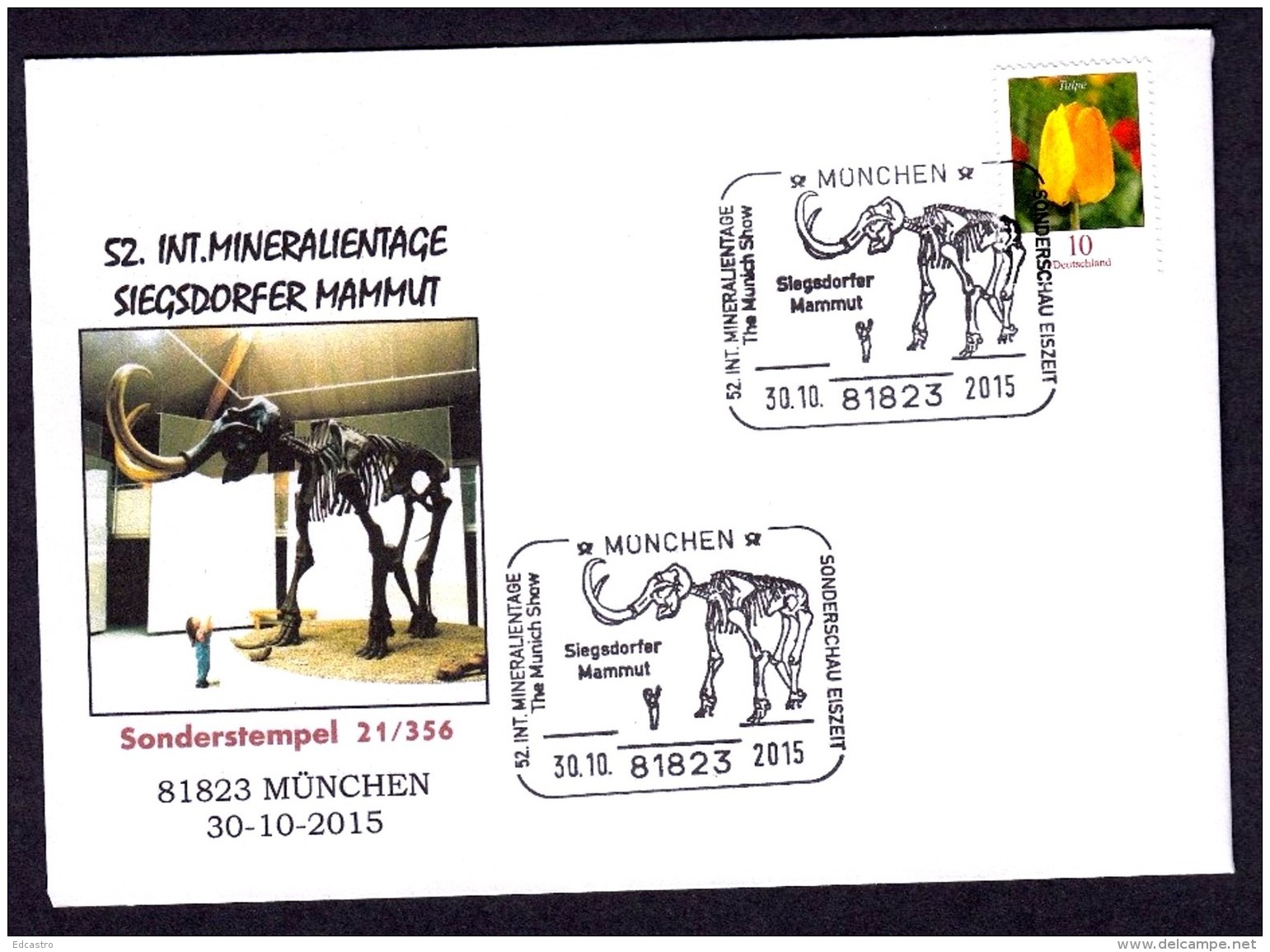 20.- GERMANY ALLEMAGNE 2015 SPECIAL POSTMARK. FOSSILS MAMMOUT MAMMUT. PREHISTORIC AND HISTORIC ANIMALS - Arqueología