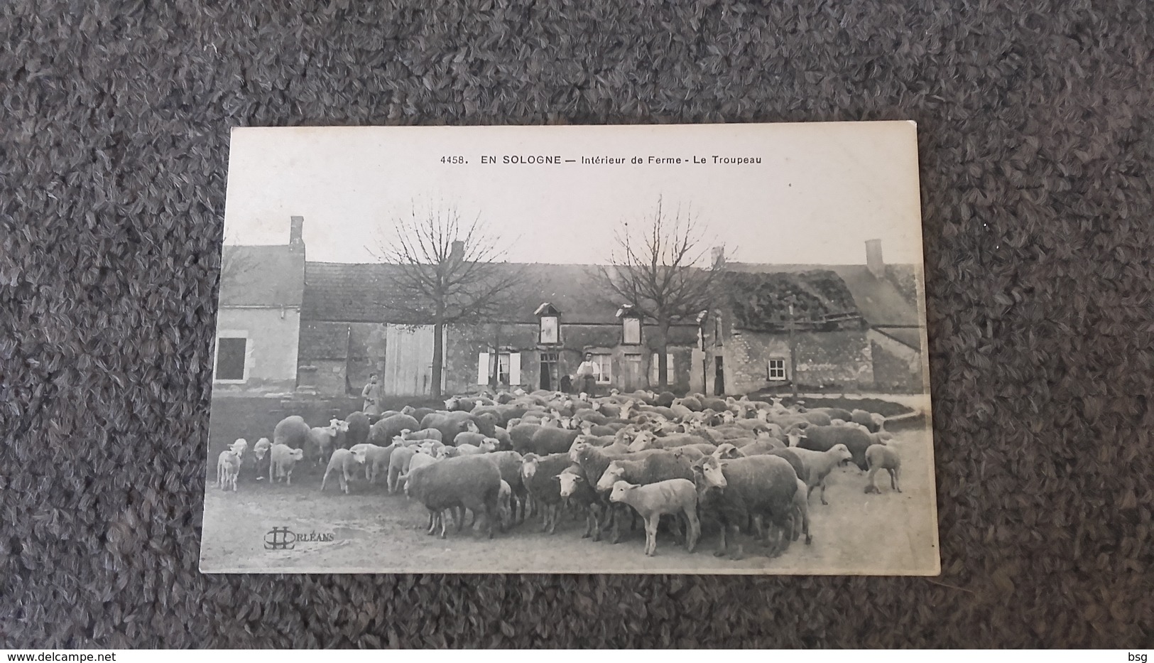 Cap En Sologne - Intérieur De Ferme Le Troupeau - Centre-Val De Loire