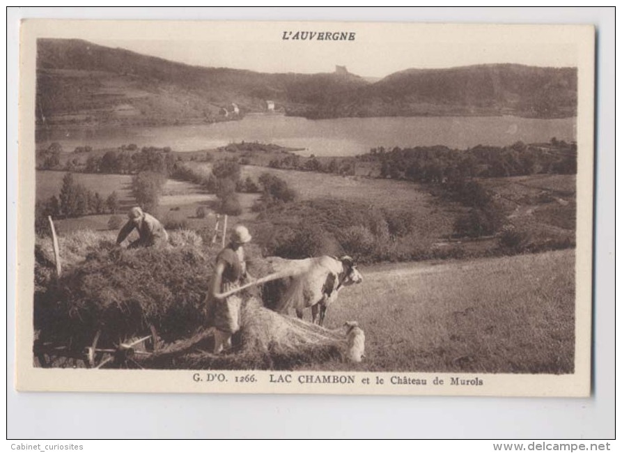 ATTELAGE DE BOEUF - Agriculteurs - Lac Chambon - Château De Murola - Animée - Attelages