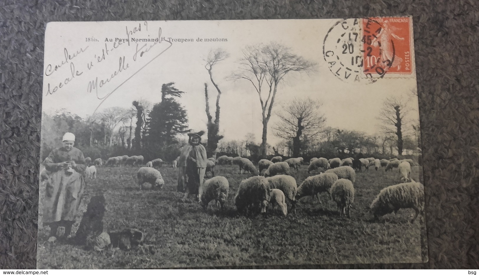 Cpa Au Pays Normand  - Troupeau De Moutons - Basse-Normandie