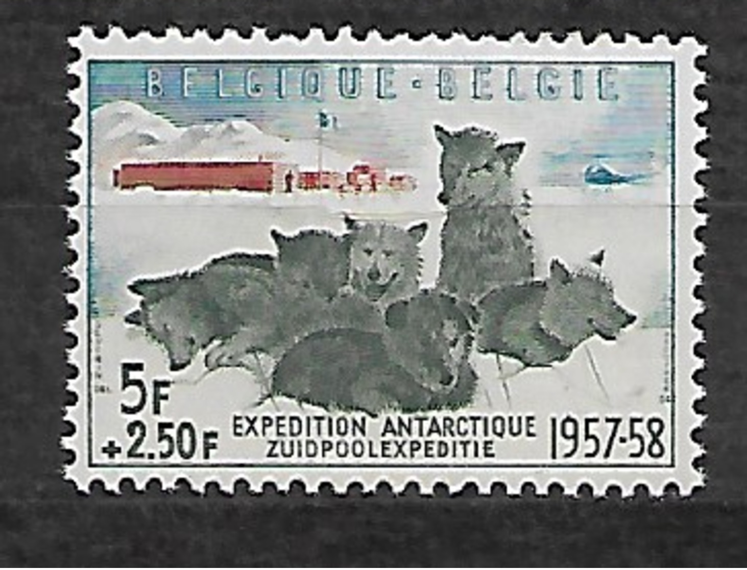 #455A# BELGIUM YVERT 1031, MICHEL 1073 MNH** ANTARCTIC, DOGS, CHIEN, PERRO. - Neufs