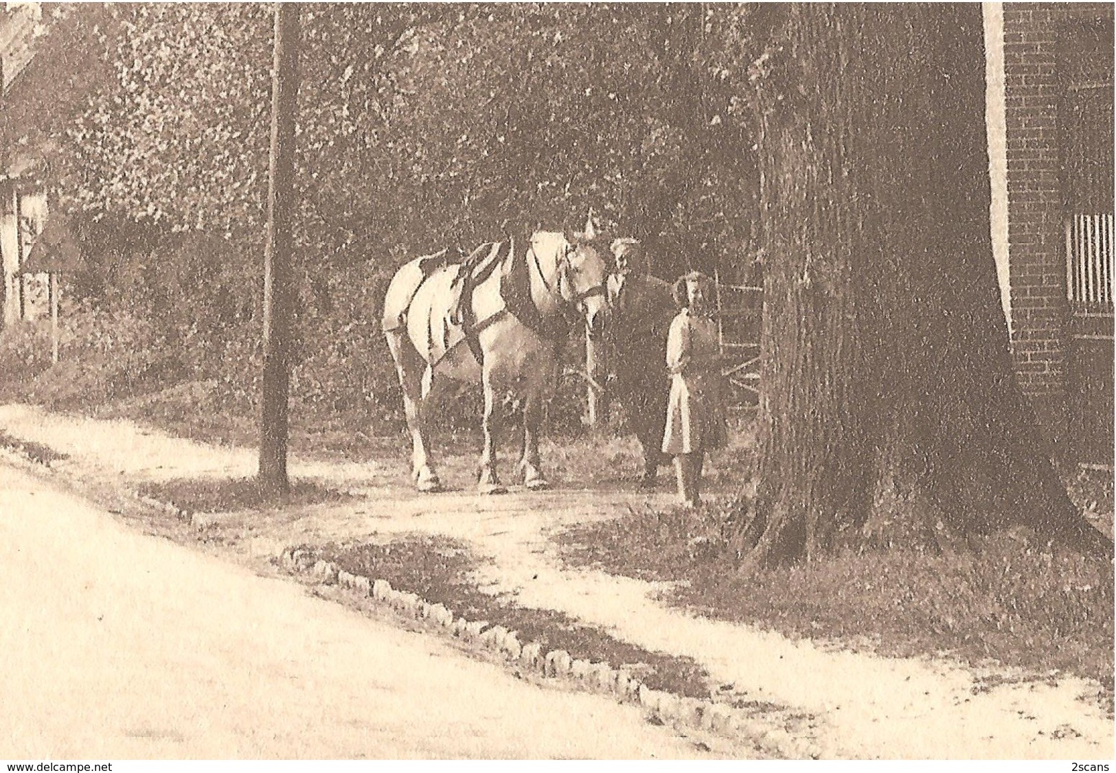 Dépt 80 - AILLY-LE-HAUT-CLOCHER - ÉPREUVE De CARTE POSTALE (photo R. LELONG) + PLAQUE De VERRE - Édition E. Caumartin - Ailly Le Haut Clocher