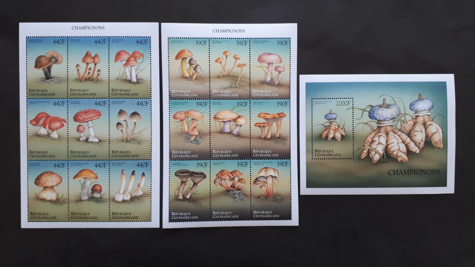 Central Africa 1999**Miklb. 2293/2310 + Bl.627. (Champignons) MNH [8;47-48] - Champignons