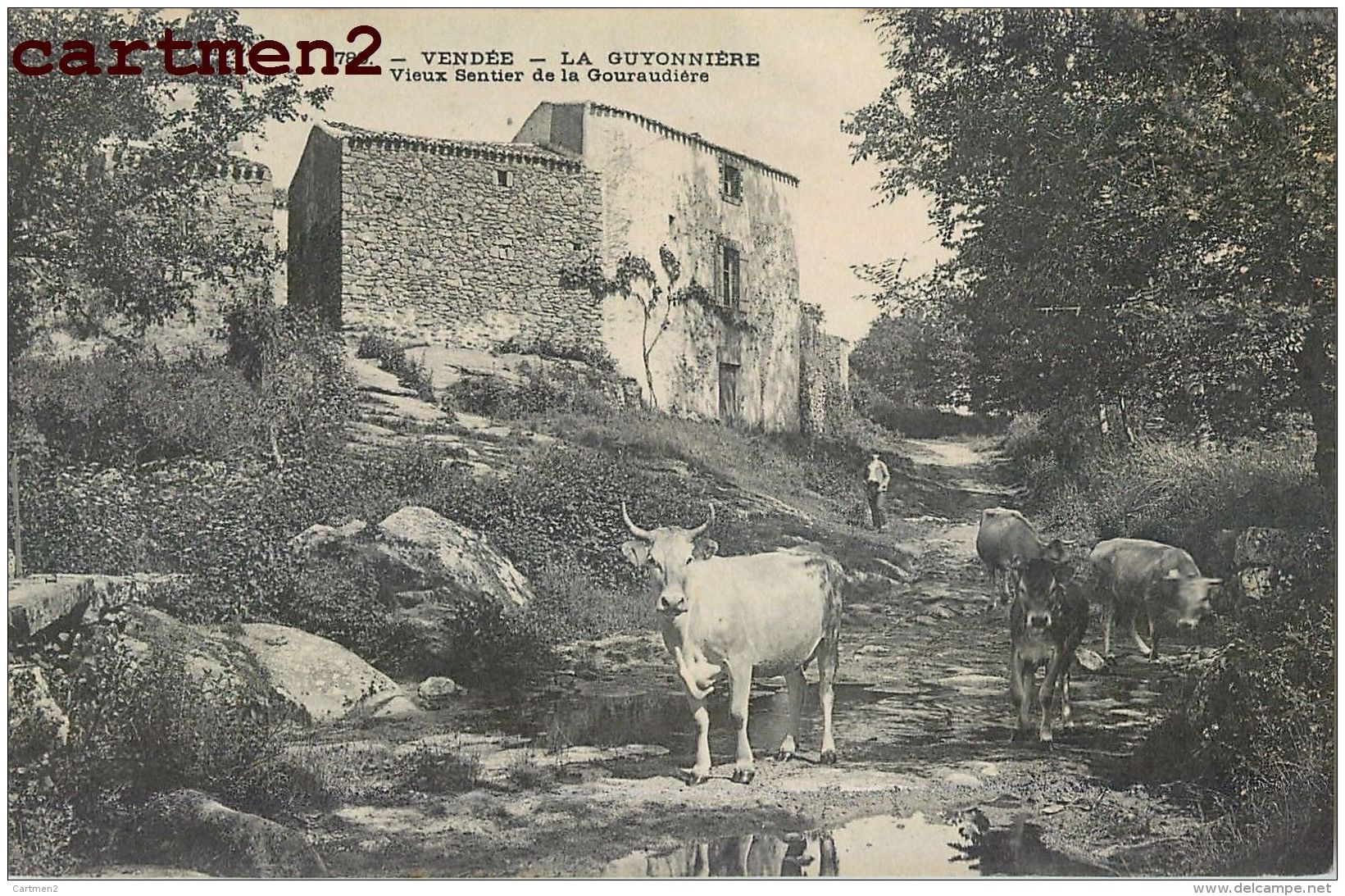 LA GUYONNIERE VIEUX SENTIER DE LA GOURAUDIERE 85 VENDEE - Autres & Non Classés