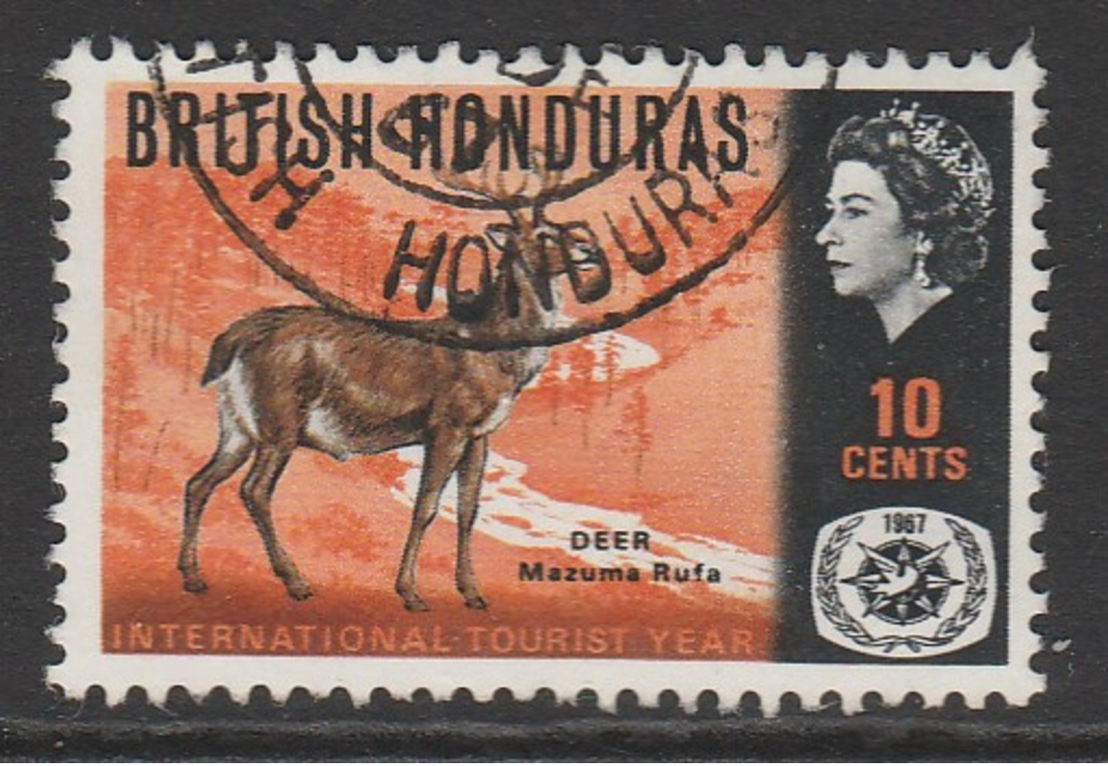 British Honduras 1967 Wildlife - International Tourist Year 10 C Multicoloured SW 202 O Used - British Honduras (...-1970)