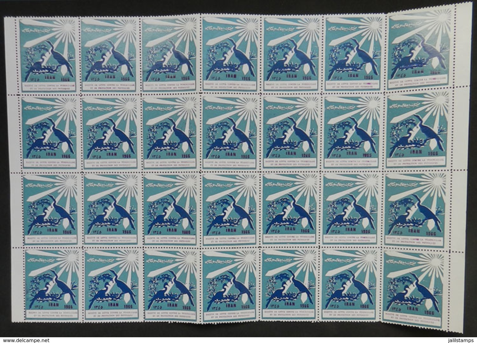 873 IRAN: FIGHT AGAINST TUBERCULOSIS: 1966 Issue, Large Block Of 28 Cinderellas, MNH - Irán