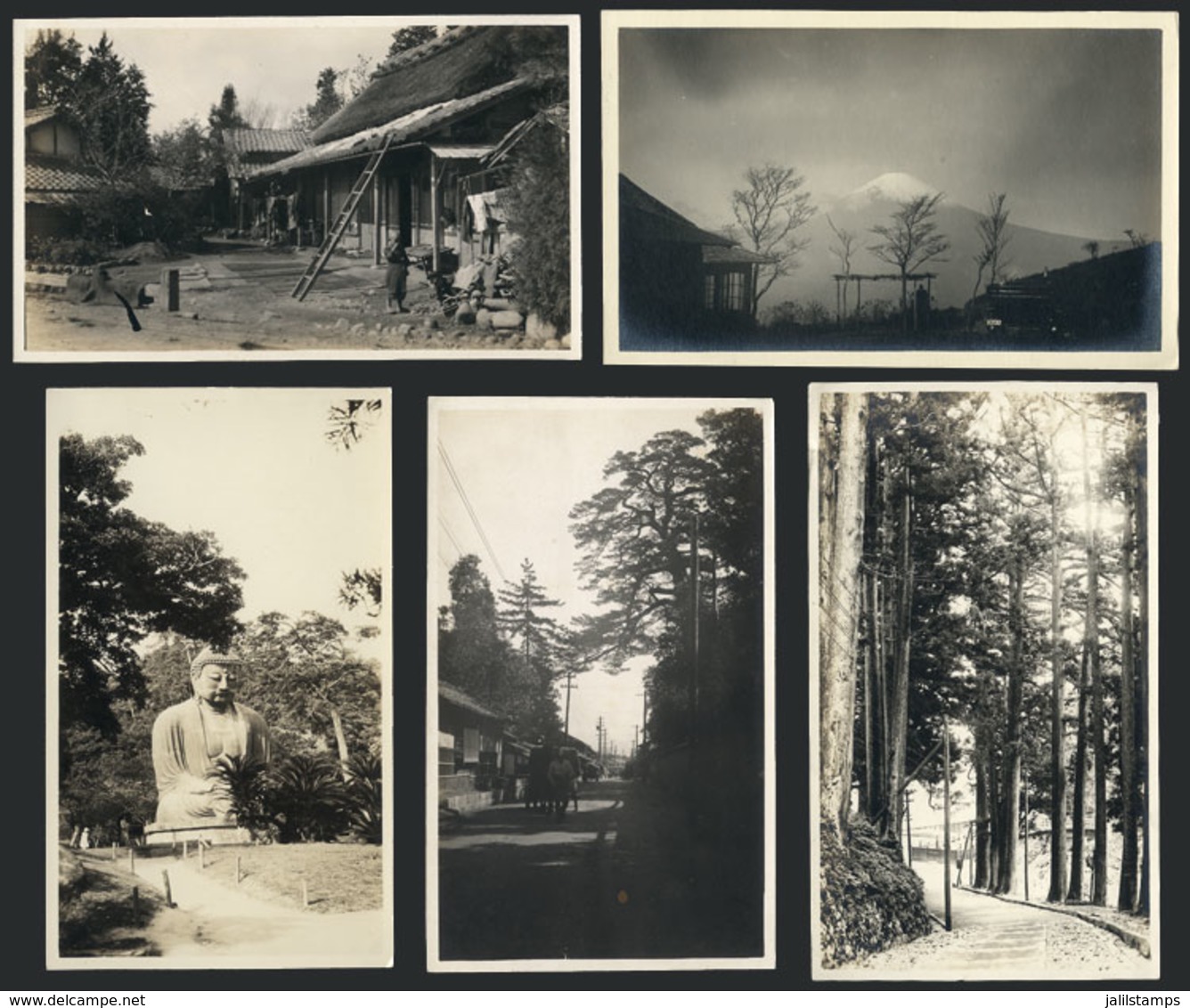 1006 JAPAN: 5 Very Old Photos: Rural Scenes, Landscapes Etc., Size 14,5 X 8,5 Cm Apro - Other & Unclassified