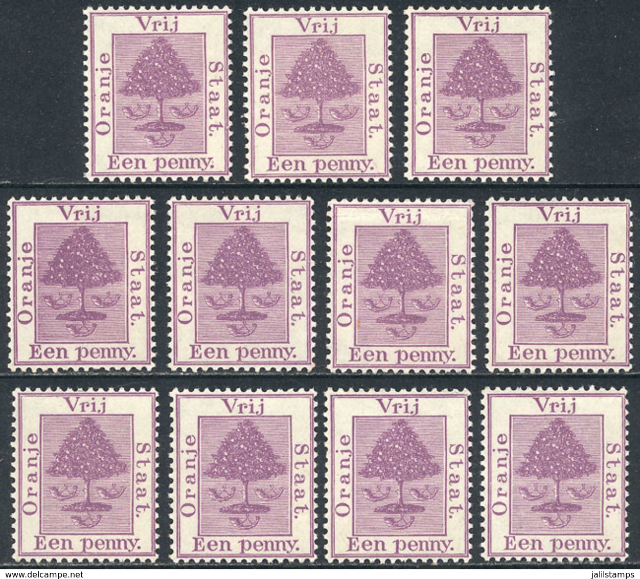 1055 ORANGE RIVER COLONY: Sc.4, 10 Unmounted Examples, Excellent Quality, Catalog Val - Estado Libre De Orange (1868-1909)