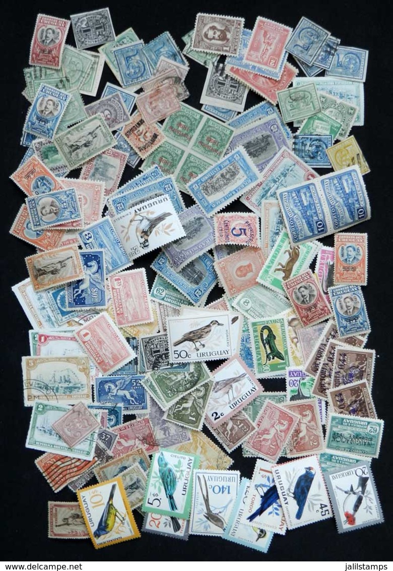 1263 URUGUAY: Lot Of Stamps And Sets Of Varied Periods, Used And Mint (most Lightly H - Uruguay