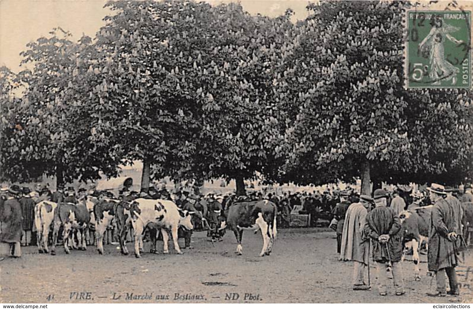 Vire     14     Le Marché Aux Bestiaux    (voir Scan) - Vire