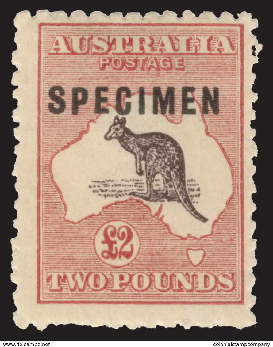 S Australia - Lot No.227 - Neufs