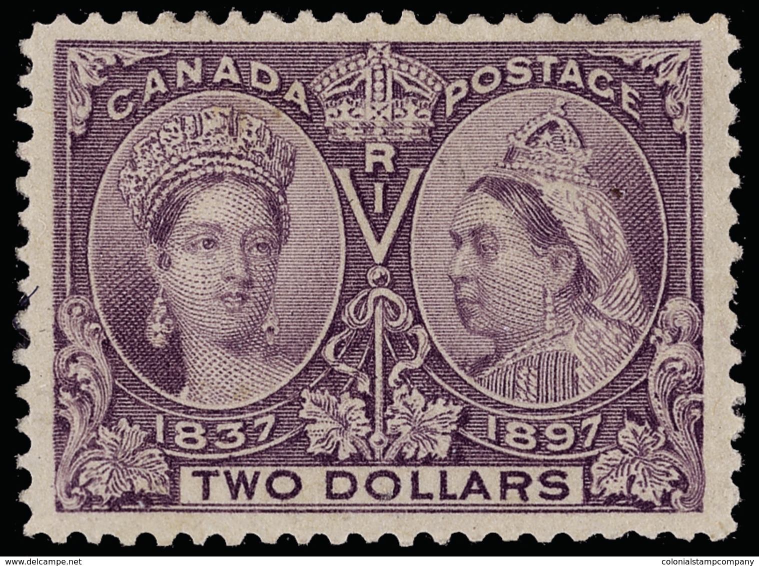 * Canada - Lot No.497 - Collezioni