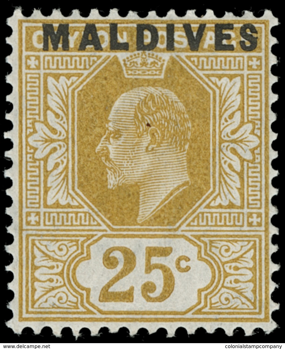 * Maldive Islands - Lot No.1019 - Maldive (...-1965)