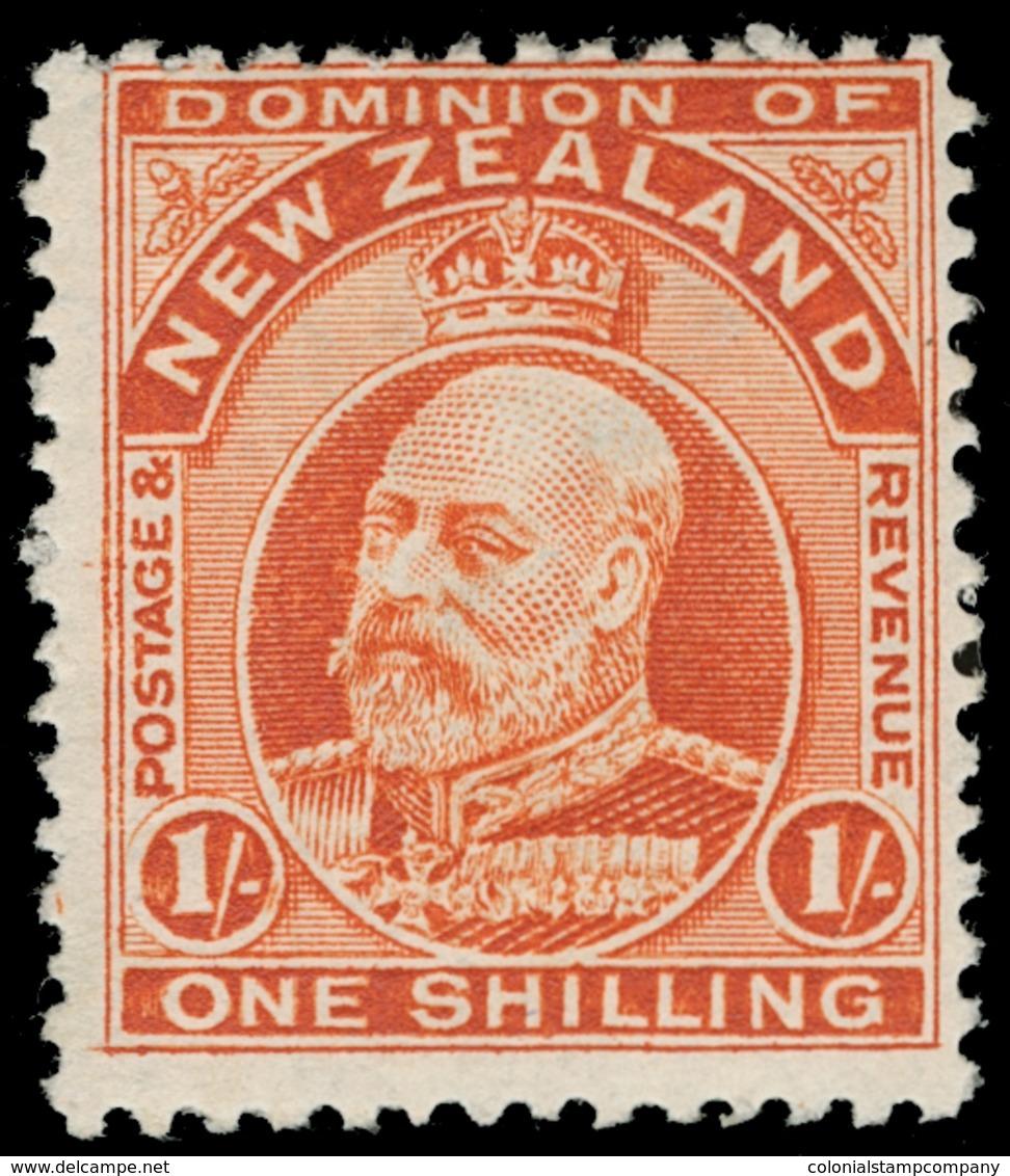 * New Zealand - Lot No.1192 - Usati