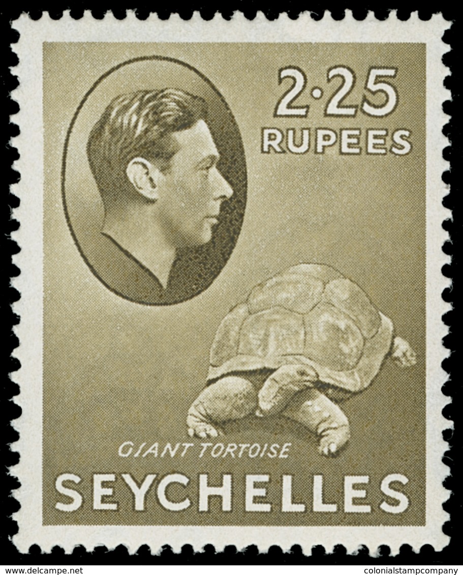 * Seychelles - Lot No.1416 - Seychelles (...-1976)