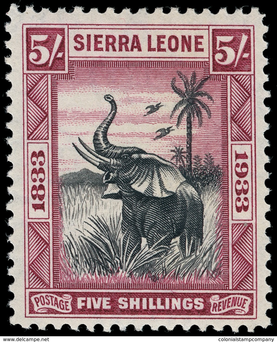 * Sierra Leone - Lot No.1445 - Sierra Leone (...-1960)