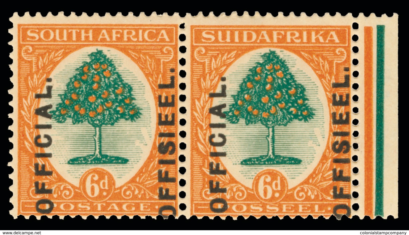 * South Africa - Lot No.1480 - Nuovi