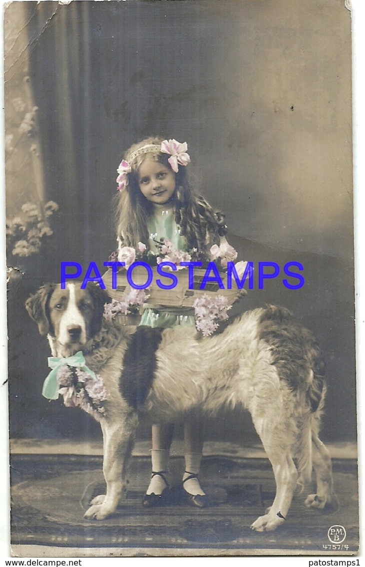 98053 REAL PHOTO GIRL AND DOG WITH FLOWER CIRCULATED TO ARGENTINA POSTAL POSTCARD - Sin Clasificación