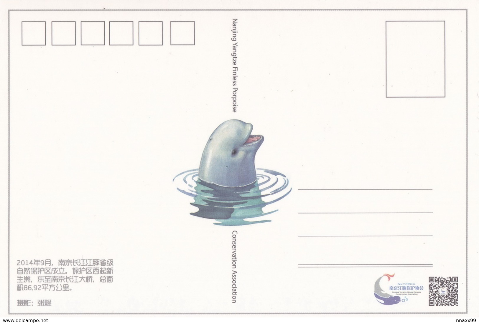 China - FOUR Yangtze Finless Porpoise (Neophocaena Asiaeorientalis) Postcards - Dauphins