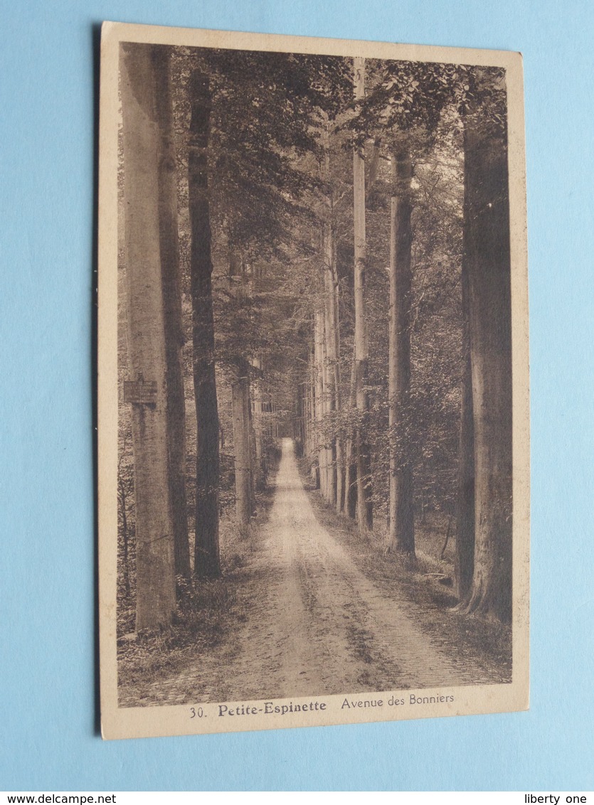 PETITE-ESPINETTE Avenue Des Bonniers ( 30 - Truyens ) Anno 1939 ( Zie Foto's ) ! - Rhode-St-Genèse - St-Genesius-Rode