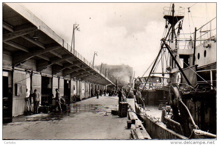 56 LORIENT  Port De Pêche - La Criée - Lorient