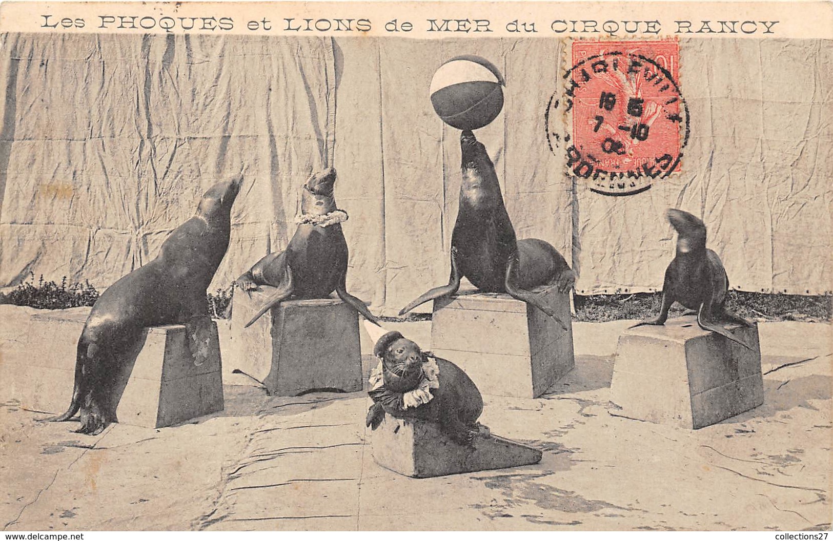 LES PHOQUES ET LIONS DE MER DU CIRQUE RANCY - Circus