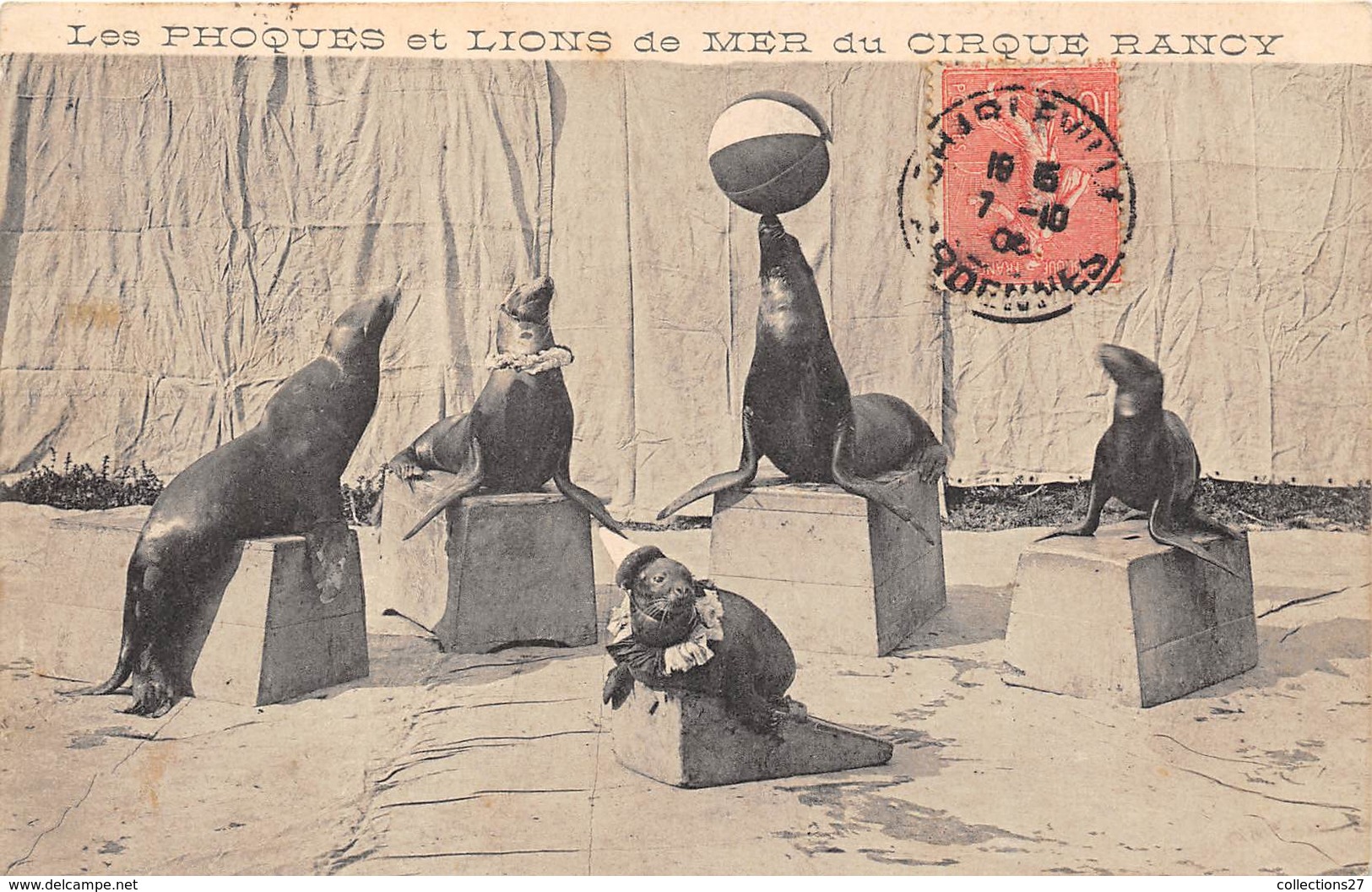 LES PHOQUES ET LIONS DE MER DU CIRQUE RANCY - Cirque