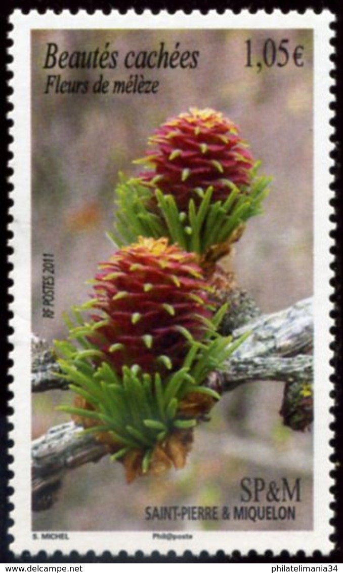 SPM 2011 - Fleur De Mélèze - Unused Stamps